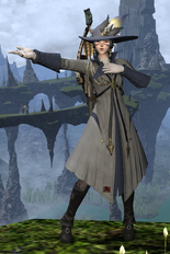 Sojourns with Sharlayans